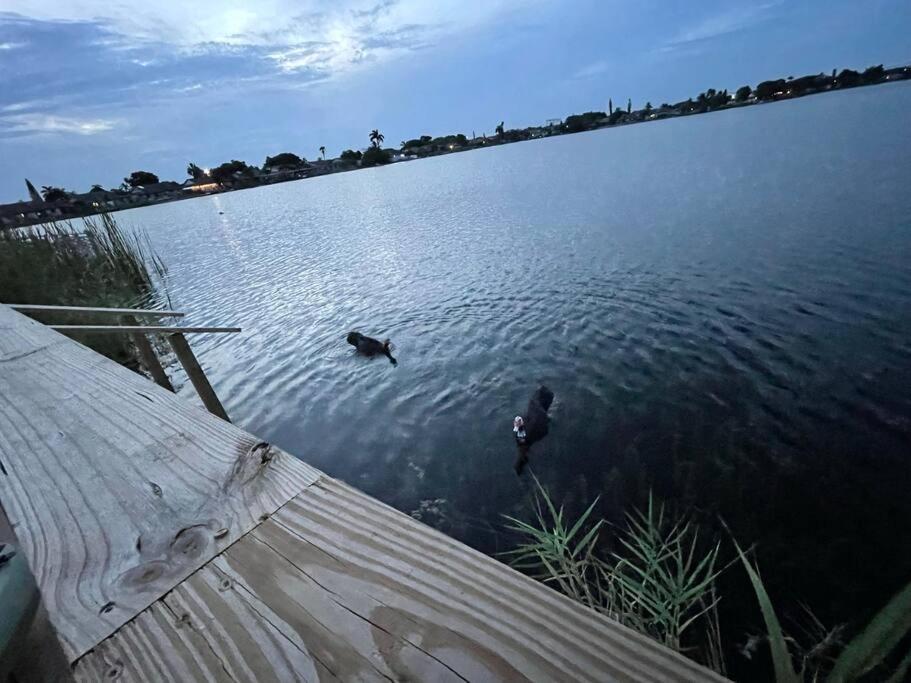 Supervilla - Lakefront - Sunsets, Kayaks, Grill Fort Lauderdale Exterior photo